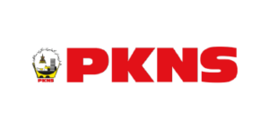 12 PKNS
